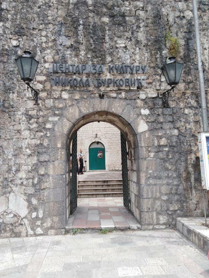 New Renovated Old Town Martiva Apartment Kotor Kültér fotó